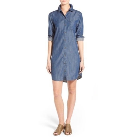 eileen fisher denim dress